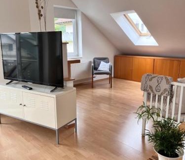 Bingen Apartment | Ferienwohnung in Bingen Hohenzollern