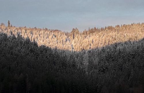 Bad Wildbad Apartment | Ferienwohnung in ruhiger Waldrandlage