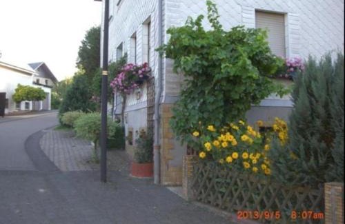 Spesenroth Apartment | Ferienwohnung in Spesenroth mit gemeinschaftlichem Pool, Garten und Terrasse