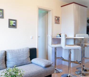 Zschernitzsch Apartment | Ferienwohnung Knoth