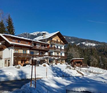 Dellach im Drautal Apartment | Ferienwohnung Lemberger