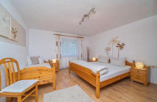 Sankt Gallenkirch Apartment | Ferienwohnung Lisi