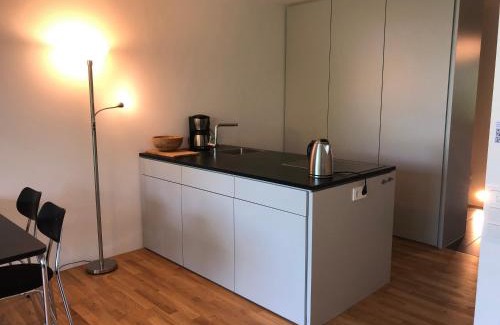 Egg Apartment | Ferienwohnung Mainaublick