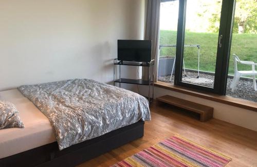 Egg Apartment | Ferienwohnung Mainaublick