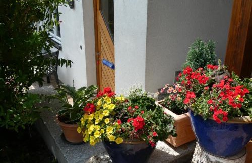 Hinterzarten Apartment | Ferienwohnung Mattenweg 1a