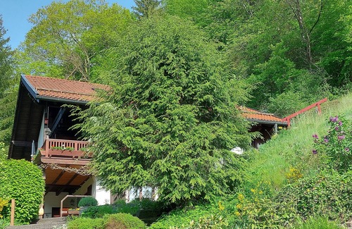 Walkenried Apartment | Ferienwohnung mit Fantastischem Ausblick, Direkt am Wald