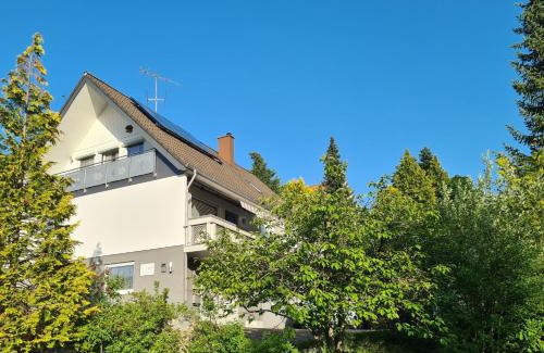 Pfeffingen Apartment | Ferienwohnung mit toller Aussicht