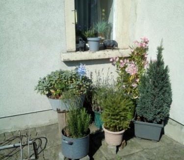 Bretnig Apartment | Ferienwohnung Monteurzimmer Bretnig