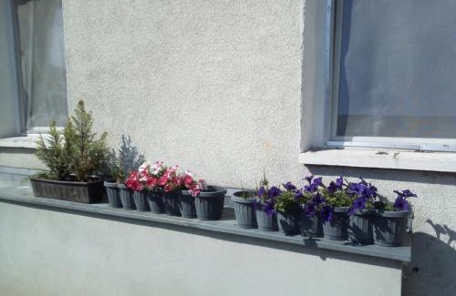 Bretnig Apartment | Ferienwohnung Monteurzimmer Bretnig
