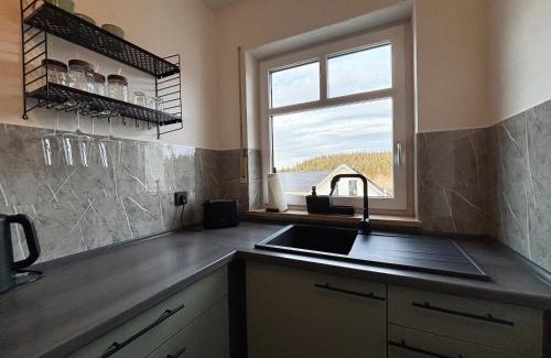 Oberhof Apartment | Ferienwohnung Naturkraft mit Tiefgaragenstellplatz und Balkon