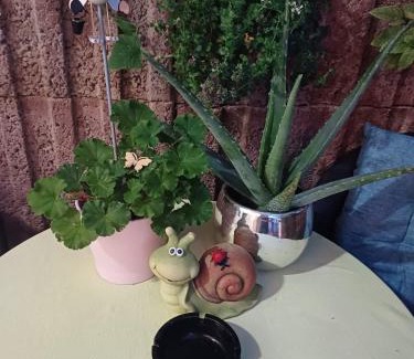 Rheinbrohl Apartment | Ferienwohnung Neli am Rhein