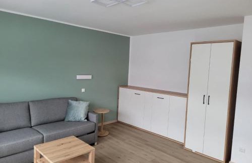 Ortsmitte Apartment | Ferienwohnung Ortsmitte-Willingen