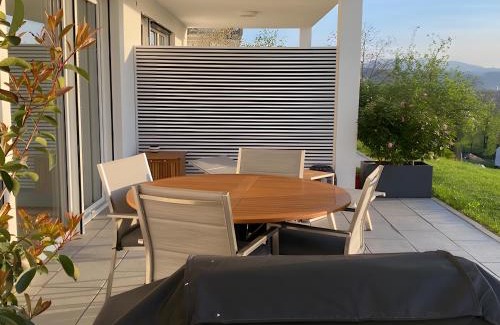 Loerrach Apartment | Ferienwohnung Panoramablick