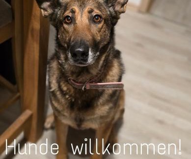 Gethles Apartment | Ferienwohnung Rössewiese