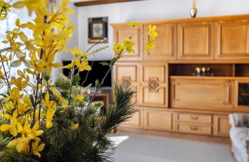 Furtwangen Apartment | Ferienwohnung Regina