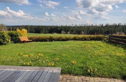 Eisenbach Apartment | Ferienwohnung Rehblick Oberbränd