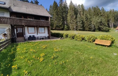 Eisenbach Apartment | Ferienwohnung Rehblick Oberbränd