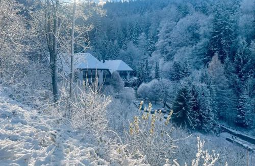 Triberg im Schwarzwald Apartment | Ferienwohnung Riese