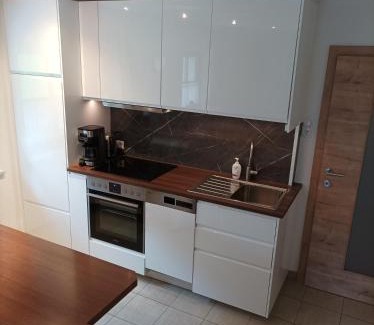 Sankt Leonhard im Pitztal Apartment | Ferienwohnung Rimml