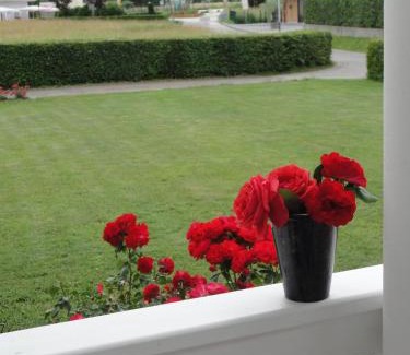 Unterburg am Klopeiner See Apartment | Ferienwohnung Rogatsch