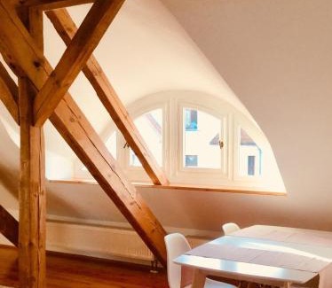 Steintor-Vorstadt Apartment | Ferienwohnung Rostock