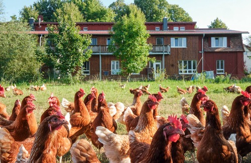 Schwerin Apartment | Ferienwohnung rot - Urlaub auf dem Biohof