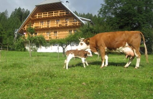 Schonach im Schwarzwald Apartment | Ferienwohnung Südlicht mit 68 qm, 2 Schlafzimmern für max. 4 Personen