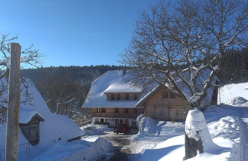 Schonach im Schwarzwald Apartment | Ferienwohnung Südlicht mit 68 qm, 2 Schlafzimmern für max. 4 Personen