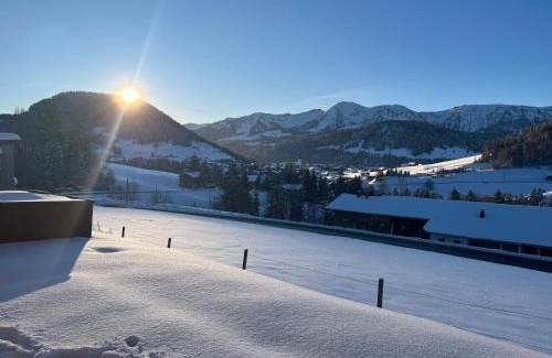 Hittisau Apartment | Ferienwohnung Schönenbühl