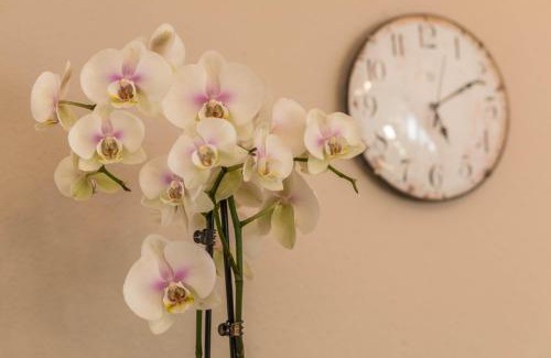 Lochbrucke Apartment | Ferienwohnung Schürer