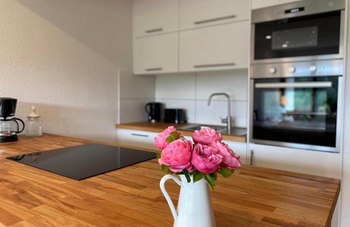 Lenzkirch Apartment | Ferienwohnung Schwarzwaldblick in Lenzkirch