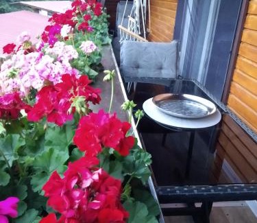 Oberharmersbach Apartment | Ferienwohnung Sonnenblick