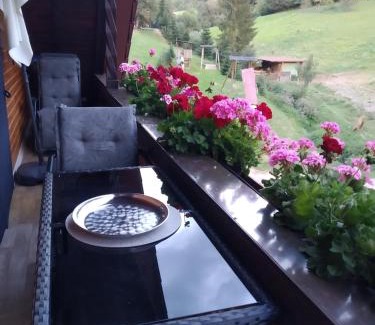 Oberharmersbach Apartment | Ferienwohnung Sonnenblick