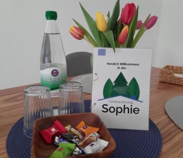 Eitelborn Apartment | Ferienwohnung Sophie - perfekt mit Kind und Kegel
