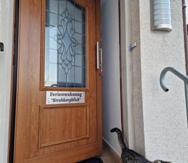 Mengersgereuth-Hammern Apartment | Ferienwohnung Strohbergblick