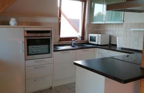Heiligenzell Apartment | Ferienwohnung Suedbalkon