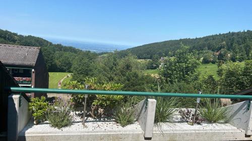 Sasbachwalden Apartment | Ferienwohnung Talblick