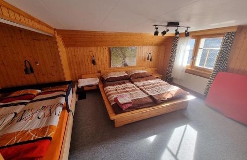 Wildhaus-Alt St. Johann Apartment | Ferienwohnung Toggilodge