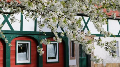 Jonsdorf Apartment | Ferienwohnung Zittauer Gebirge
