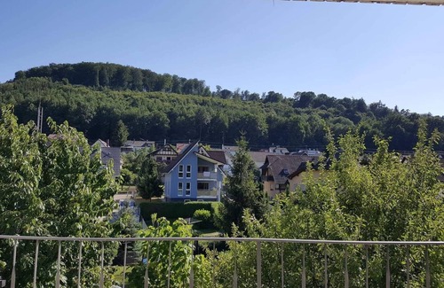 Lahr Apartment | Ferienwohnungen am Naturbad