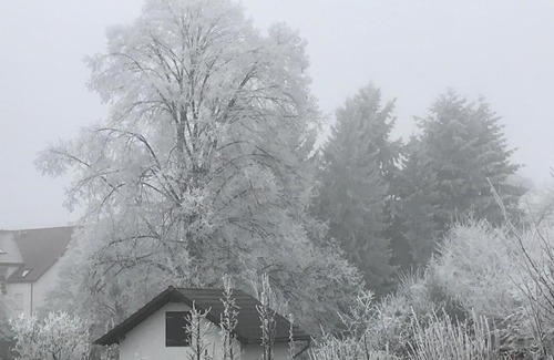 Losheim am See Apartment | Ferienwohnungen BECKENDORF Schiller