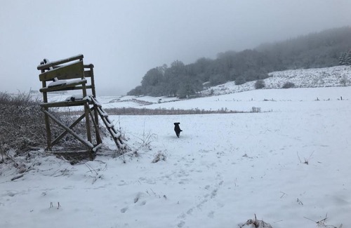 Losheim am See Apartment | Ferienwohnungen BECKENDORF Schiller