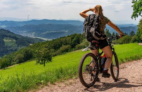 Oberharmersbach Apartment | Ferienwohnungen Golla-lang
