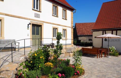 Seinsheim Apartment | Ferienwohnungen Grüner Baum