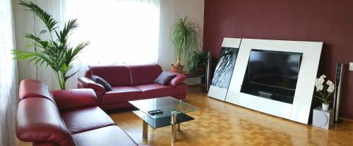 Oppenhausen Apartment | Ferienwohnungen Gronen