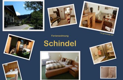 Schoenmuenzach Apartment | Ferienwohnungen in Schönmünzach