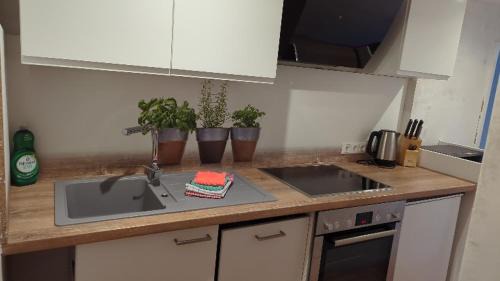 Gross-Umstadt Apartment | Ferienwohnungen Schallenberg - Groß-Umstadt- Fewo Nr-5