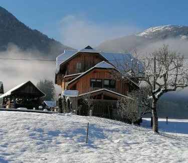Kirchbach Apartment | Ferienwohnungen Themessl