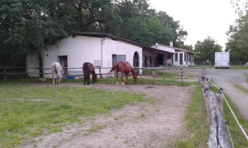 Pailloles House | ferme équestre des abrons