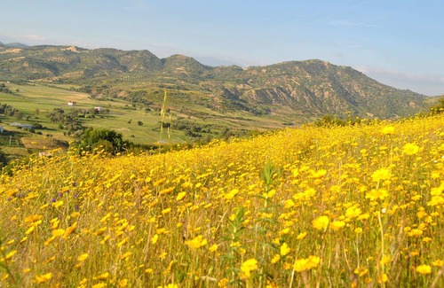 Brikcha House | Ferme d'Hôte Aicha à Bellouta